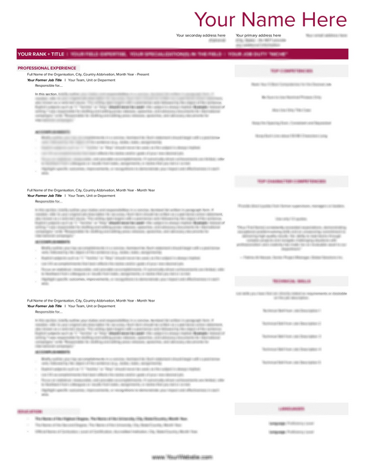 Resume / CV Template for Mid-level Career Professionals (Google Sheets)